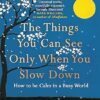 The Things You Can See Only When You Slow Down: How to be Calm in a Busy World