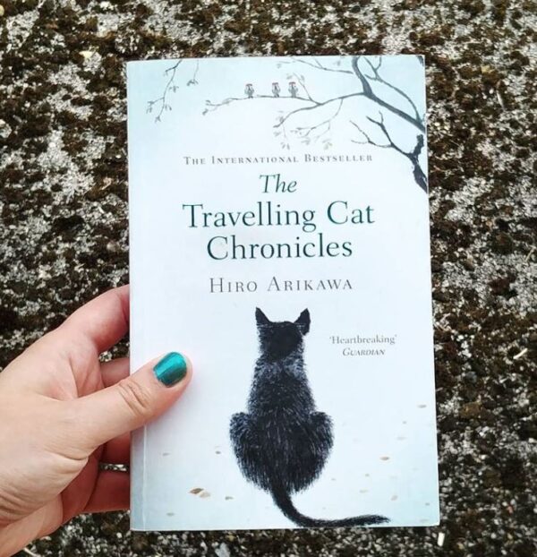 catca The travelling cat chronicles